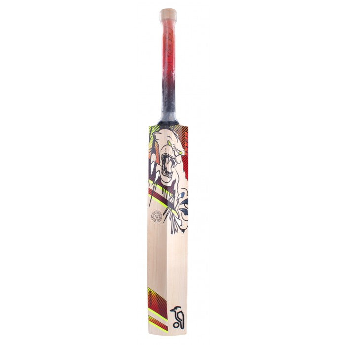 Kookaburra Cricket Bat Beast 5.1 English Willow - Full Size