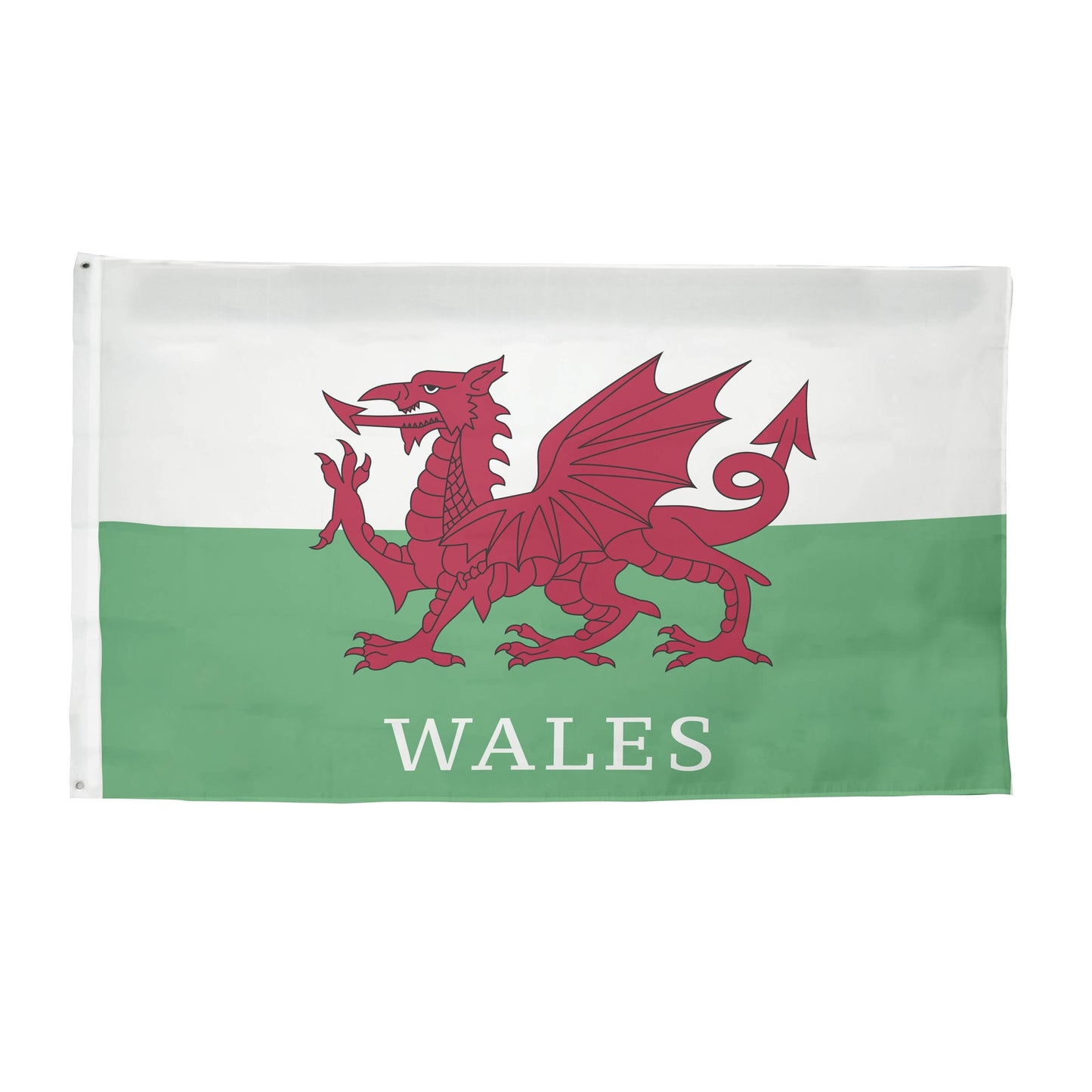 Team Merchandise 5ft x 3ft Flag